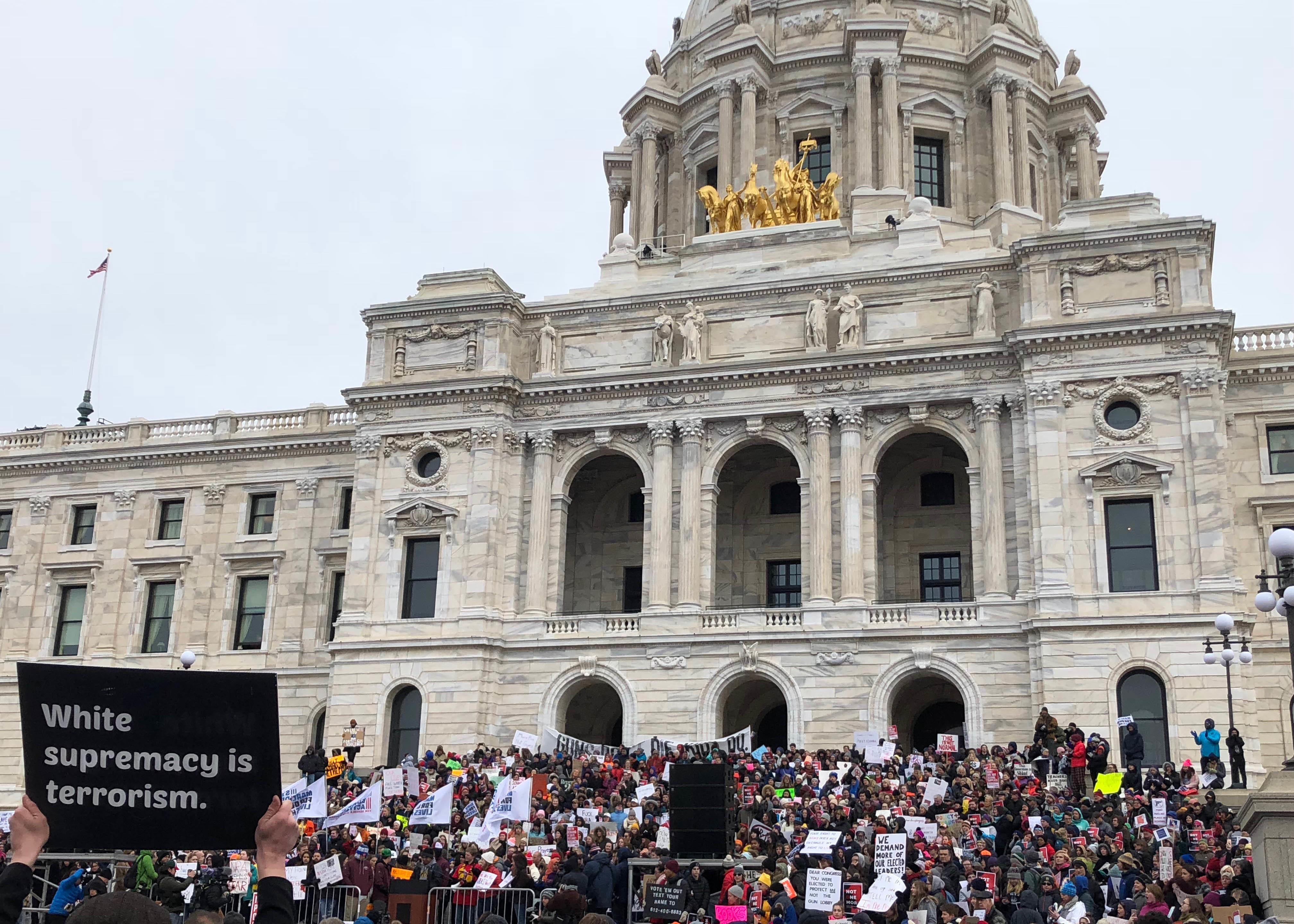 Protestors in front of the St. Paul Capitol building