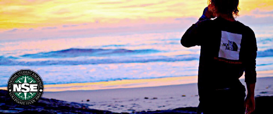 NSE student stands on the beach at sunrise